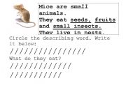 English worksheet: Mice Are Nice