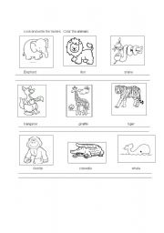 English Worksheet: wild animals