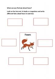 English worksheet: Finding out about foxes