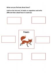 English Worksheet: Finding out about foxes