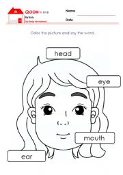 English Worksheet: Eeasy Body Parts