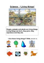 English Worksheet: Living and Non Living Things