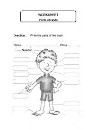 English Worksheet: parts of body