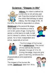 Stages in life (life cycle of humans)