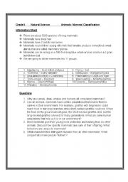 English Worksheet: Animal classification