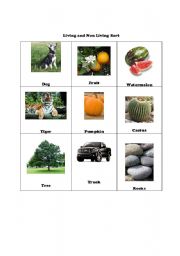 English worksheet: Living and Non Living Picture Sort