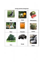 English Worksheet: Living and Non Living Picture Sort