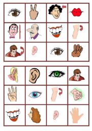 English Worksheet: body parts bingo-1