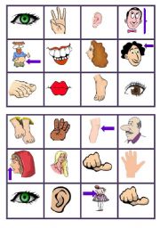 body parts bingo 2