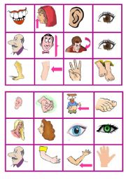 English Worksheet: body parts bingo 3