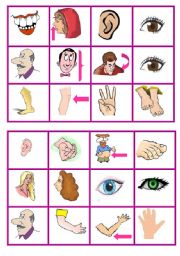 English Worksheet: body parts bingo 3