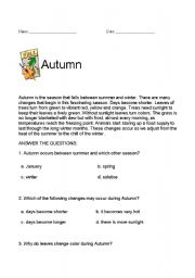 English Worksheet: ELEMANTARY READING TEXTS