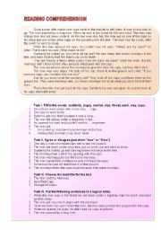 English Worksheet: Reading Comprehension Test