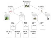 English Worksheet: Animal Kingdom Poster