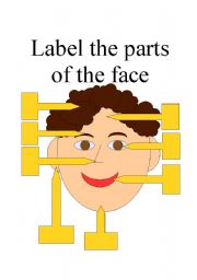 English Worksheet: Facial features