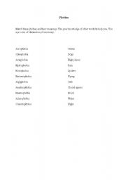 English worksheet: Phobias