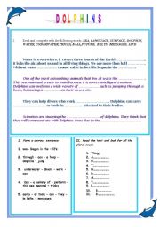 English worksheet: Dolphins