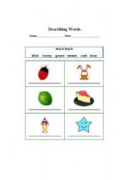 English Worksheet: Describing words
