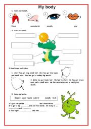 English Worksheet: MY BODY