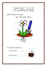 English Worksheet: Plants