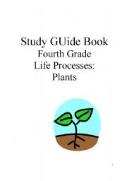 English Worksheet: Science Study guide for 4th grade. Plants. Part 4/8