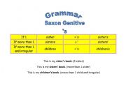 English Worksheet: Saxon genitive grammar chart