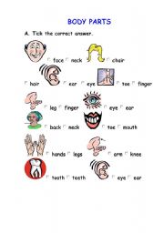 English Worksheet: Body parts