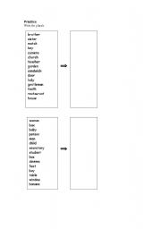 English worksheet: Plural revision test