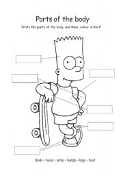 Body parts worksheets