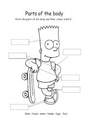 English Worksheet: Parts of the body