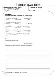 English worksheet: CLASS TEST