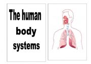 English Worksheet: human body systems