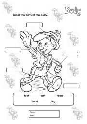 English Worksheet: Body labelling