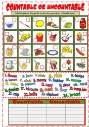 Countable & Uncountable Nouns (B&W + KEY)