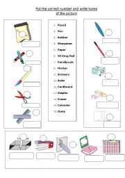English Worksheet: put the number and word