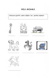 English worksheet: wild animals