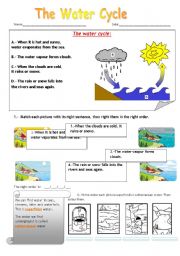 English Worksheet: The Water Cicle