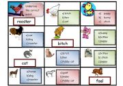 English worksheet: animal families worksheet