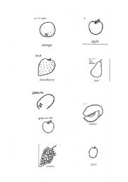 English Worksheet: fruit
