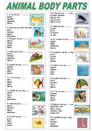 English Worksheet: ANIMAL BODY PARTS
