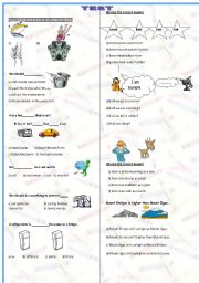 English Worksheet: test 