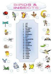 English Worksheet: BIRDS AND INSECTS MATCHING