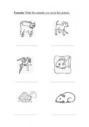 English Worksheet: Pets