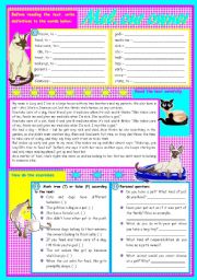 English Worksheet: Mel, our owner  reading comprehension + grammar (the use of do/does/did to replace verbs) [6 tasks] KEYS INCLUDED ((3 pages)) *** editable