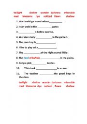 English worksheet: VOCABULARY