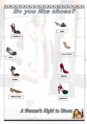 English Worksheet: Do you like shoes?