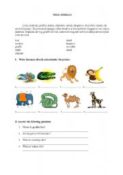 English worksheet: wild animals