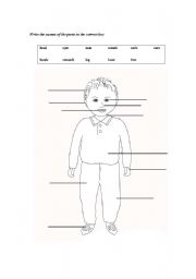 English Worksheet: Parts of the body