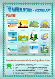 English Worksheet: The Natural World - vocabulary