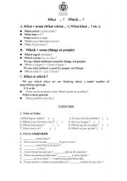 English Worksheet: What...?